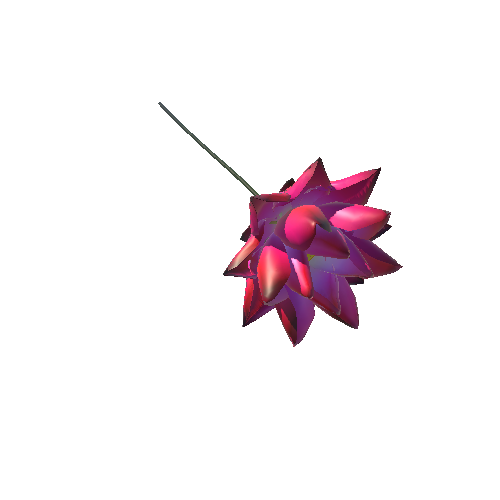 lotus flower 13